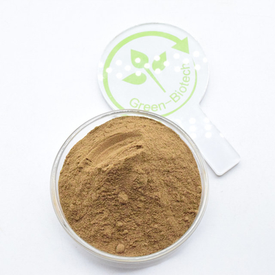 ขนาดใหญ่ สีน้ําตาล ขนาดปูนละเอียด 10:1 5:1 20:1 Dendrobium Officinale Extract
