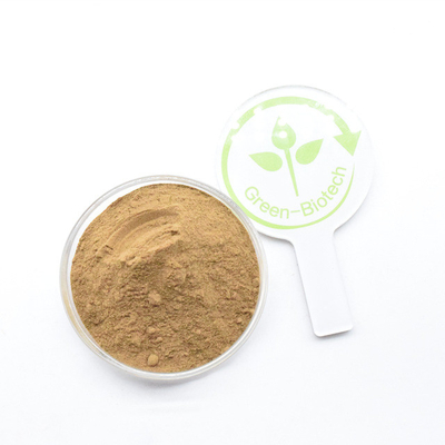 ผู้ผลิต ส่งตรง สีเหลือง สีน้ําตาล สีน้ําตาล Dendrobium Extract Powder