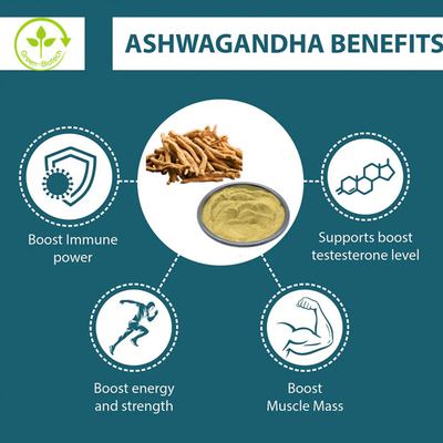 สารสกัดจาก Ashwagandha คุณภาพสูง 5% Withanolide สําหรับแคปซูล Ashwagandha