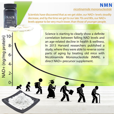 Cellular Repair White Fine Pure NMN ผง 25 กก. 99% Anti Aging