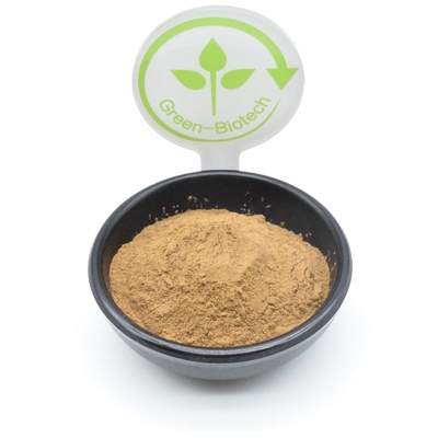 Body Building Ajuga Turkestanica Extract ผง สารสกัดจากพืช 500mg 750mg 1000mg