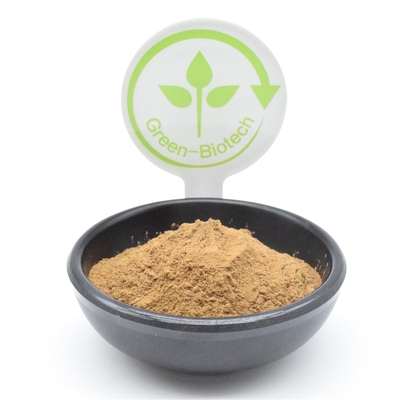 ผงสกัดจากพืช HACCP Ajuga Turkestanica 2% Turkesterone Fat Loss