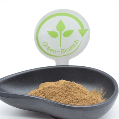 ผงสกัดจากพืช HACCP Ajuga Turkestanica 2% Turkesterone Fat Loss