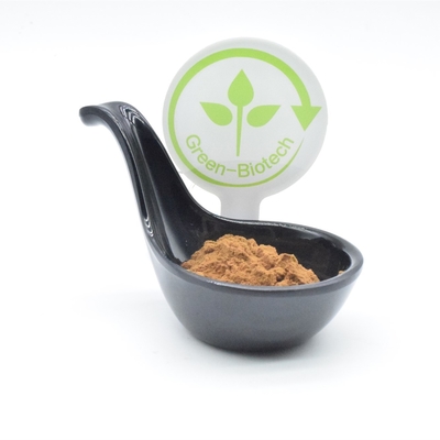 2% Ajuga Turkest สารสกัดจากเพาะกาย