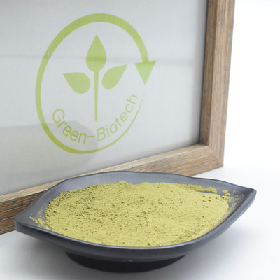 MSDS Natural Plant Extracts Uji Matcha Tea ผง with Rich Umami Taste